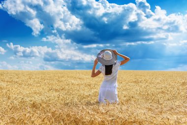 Gün batımında mükemmel buğday tarlasında güneşe bakarak açık havada zevk kolları ile kahverengi duymak ile güzel genç kadın