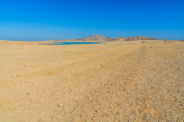 Deserto isola di Tiran Egitto in estate caldo — Foto Stock