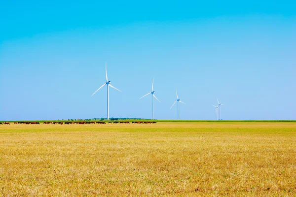 Wheat field and eco power, wind turbines — Stock Photo, Image