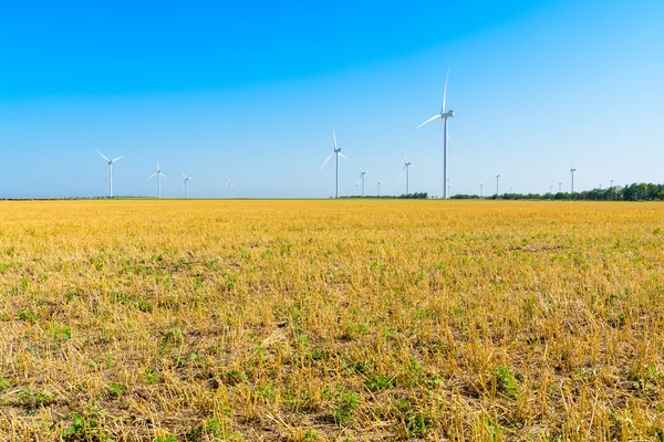 Wheat field and eco power, wind turbines — Stock Photo, Image