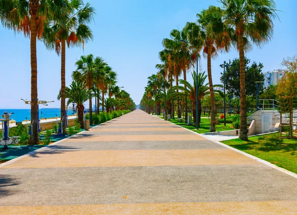 Costa y paseo marítimo en Limassol, isla Chipre, Europa, Medi —  Fotos de Stock
