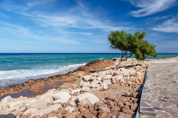 Piękny panoramiczny widok na morze Ayia Napa w pobliżu Cavo Greco, wyspie Cypr, Morze Śródziemne. Niebieski zielony na morze i słoneczny dzień. — Zdjęcie stockowe