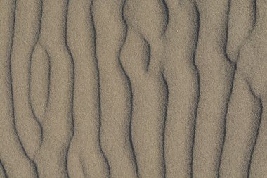 Yaz aylarında bir Beach volkanik kum desen closeup