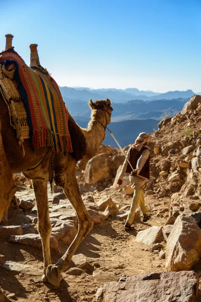 Egypt, Sinai, Mount Moses. Road on which pilgrims climb the mountain of Moses and bedouin with camel on the road. — Stock Photo, Image