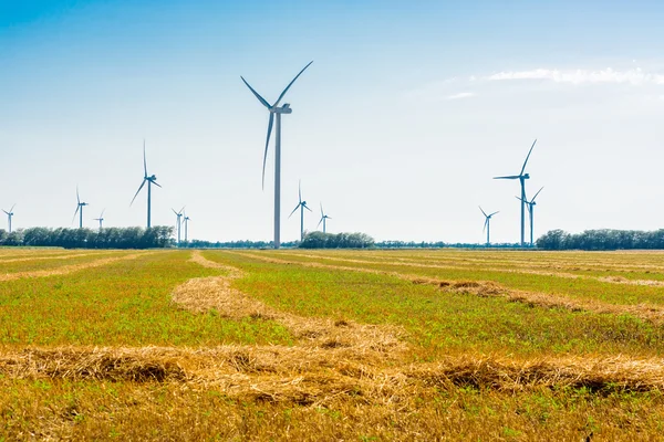 Campo de trigo e energia eco, turbinas eólicas — Fotografia de Stock