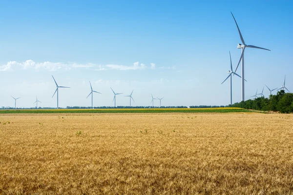 Pszenica pola i eco power, turbin wiatrowych — Zdjęcie stockowe
