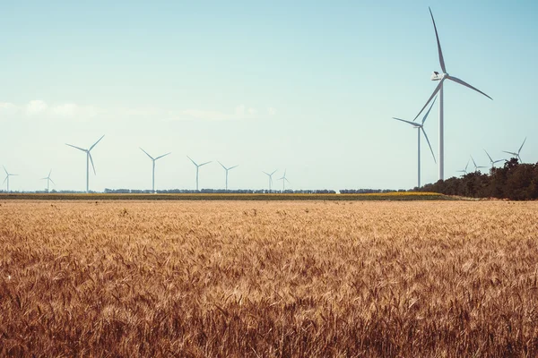 Пшеничне поле та екологічна енергетика, вітрові турбіни — стокове фото