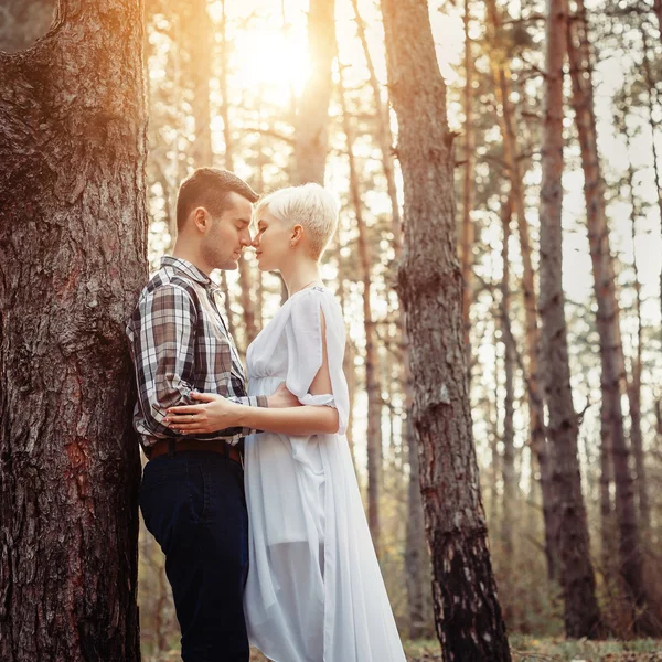 Outdoor lifestyle portrait of young couple hugging in pine forest. Sunny warm weather. Backlight and sun. Retro vintage toned image, film simulation.