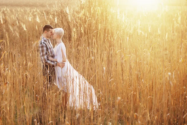 Outdoor lifestyle portrait of young couple hugging on field. Sunny warm weather. Backlight and sunset. — Stock Photo, Image