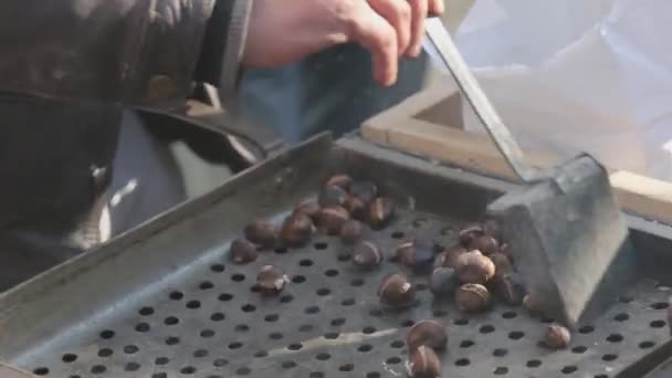 Roasted chestnuts — Stock Video