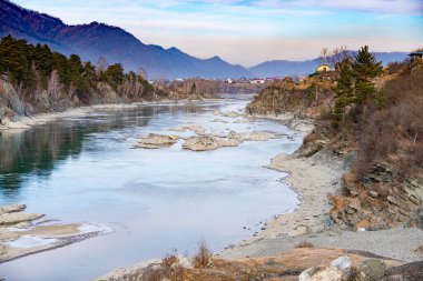 Dağlık Altai, Chemal bölgesindeki Turkuaz nehri, kayalık kıyıları, mavi gökyüzü ile dağlık sonbahar taygası, arka planda bulutlar ve binalar