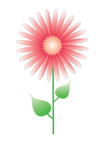 Illustration Einer Blume Mit Einer Roten Gerbera Auf Einem Stiel — Stockvektor