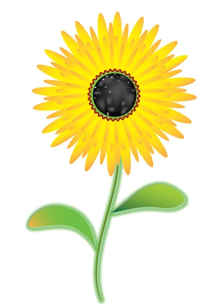 Picture Single Yellow Sunflower Plant Stem Sunny Full Bloom Flower — Stock Vector