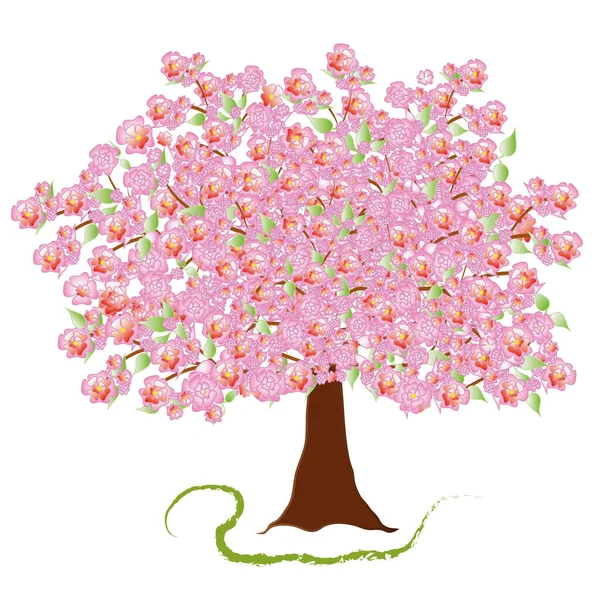 Illustration Einer Rosa Blühenden Zierkirsche Frühling Objekt Einem Baum Isolierter — Stockvektor