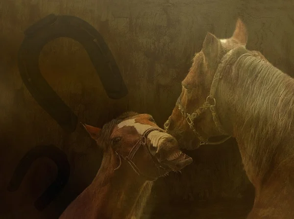 馬のペアと背景 — ストック写真