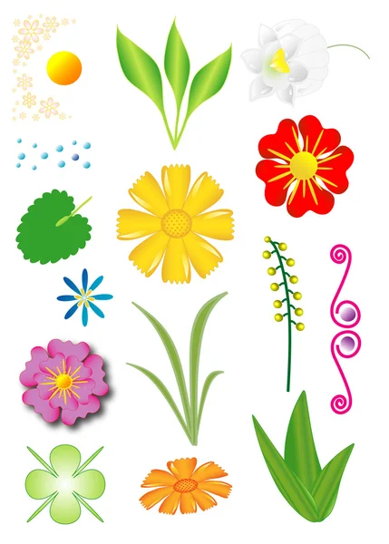 Conjunto de flores y plantas — Vector de stock
