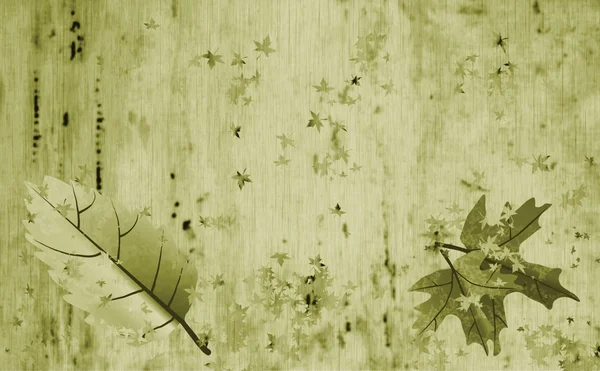 Parchment with autumn leaf designs — Stock Photo, Image