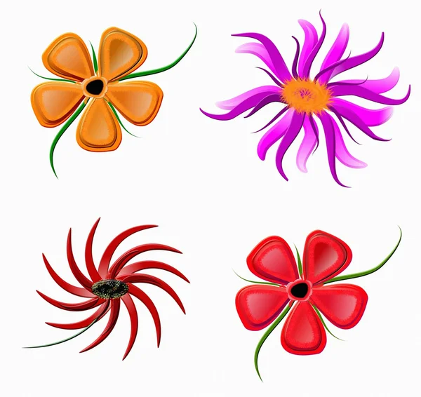 Set flowers — Stock Photo, Image