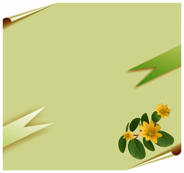 Ribbon around blank green paper with corners and flowers, — Stock Photo, Image