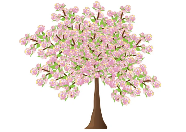 Spreading flowering tree — Stock Vector