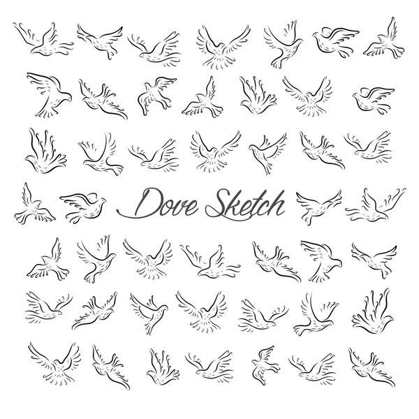 Pigeons and doves birds symbols — Stock Vector