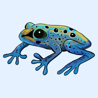 Poison frog vector illustration clipart
