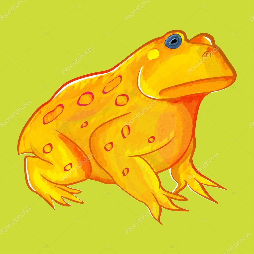 Rana dorada imágenes de stock de arte vectorial | Depositphotos Rana dorada imágenes de stock de arte vectorial | Depositphotos