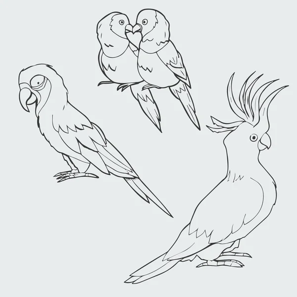 Ilustração de arara, pombinhos e papagaios da cacatua — Vetor de Stock