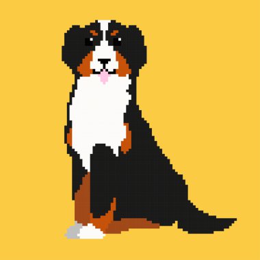 Piksel Bernese dağ köpeği 