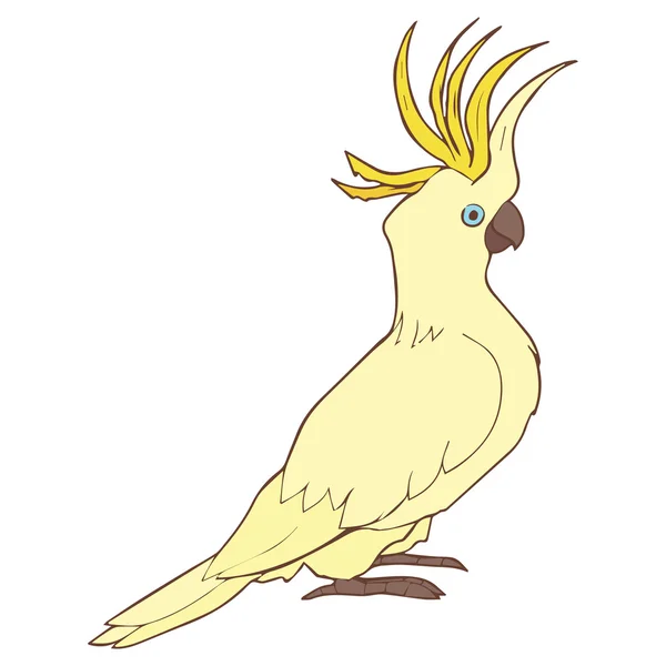 Illustrazione di Cockatoo — Vettoriale Stock