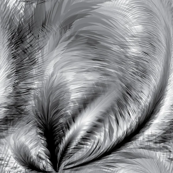 Svart och vit fjädrar sömlöst mönster Vektorgrafik
