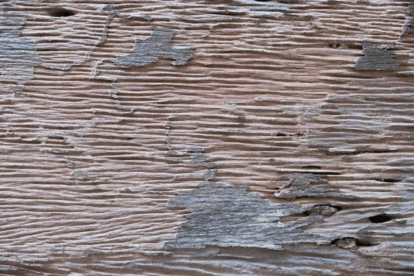 Крупним планом старий гранжевий фон з дерева — стокове фото