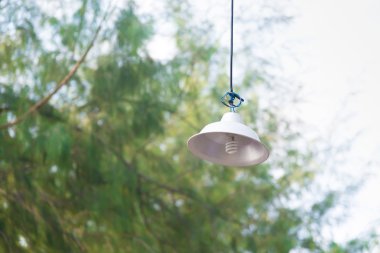 Lamba ile çam ağacı arka plan asılı