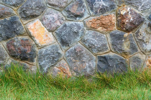 Pared de piedra y suelo de hierba verde — Foto de Stock