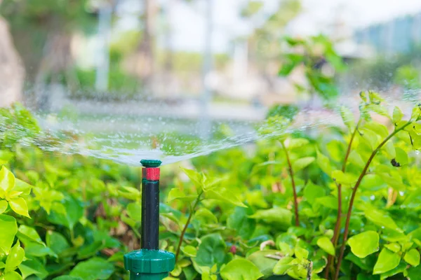 Wasserspringer im Garten mit Pflanze — Stockfoto