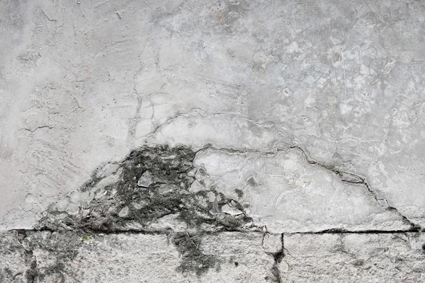 세련된 된 회색 콘크리트 바닥, 배경 — 스톡 사진