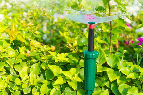 Wasserspringer im Garten mit Pflanze — Stockfoto