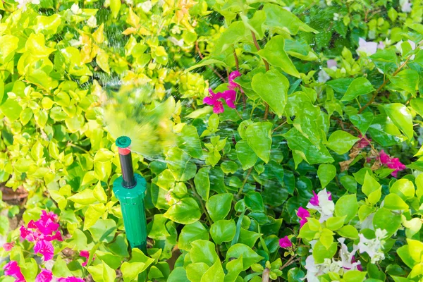 Springer de agua en el jardín con la planta — Foto de Stock