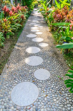 Taş döşeli yol bir tropikal Bahçe