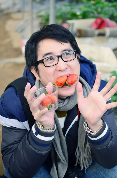 Asiatiska stilig turist man klädd överrock i strawberry växthus, skörd, färska — Stockfoto
