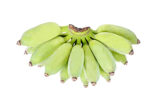 Green bananas do not ripe, isolated on a white background — Stock Photo, Image