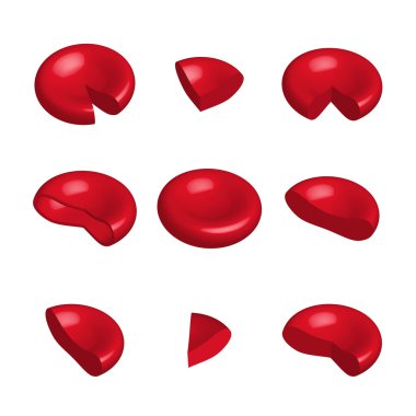 Red blood cells, isolated illustration, vector