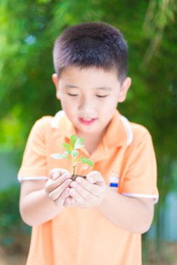 Asyalı çocuk genç fide tesisi elinde Bahçe, açık tutan