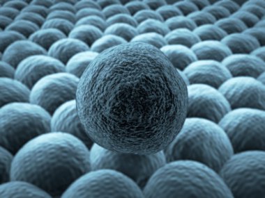 kanser hücreleri üzerinde canlı hücreler