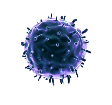 Beyazda fagosit, beyazda koronavirüs.