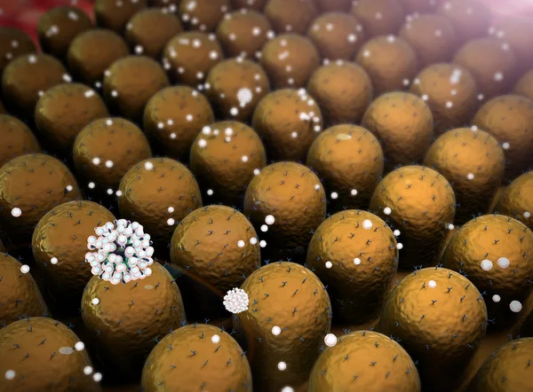 Hücreleri ve virüs — Stok fotoğraf