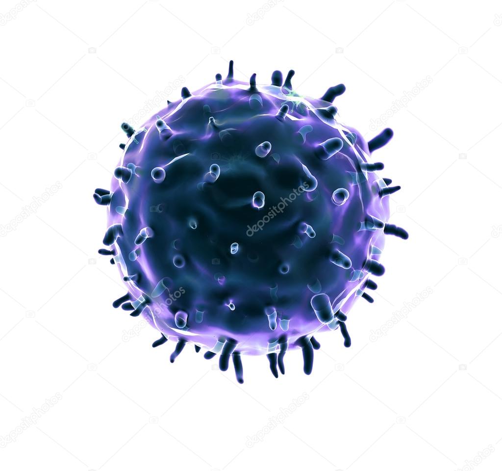 phagocyte on the whhite, coronavirus on the white