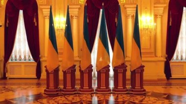 Kiev 'deki Mariinsky Sarayı' nın içinde Ukrayna Başkanı Mariinsky Sarayı 'nın Beyaz Salonu var.