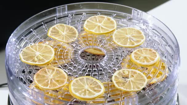 Limón Seco Plato Rodajas Limones Plato Limones Después Deshidratación — Vídeos de Stock