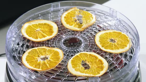 Getrocknete Zitrone Auf Dem Teller Zitronenscheiben Auf Einem Teller Zitronen — Stockvideo